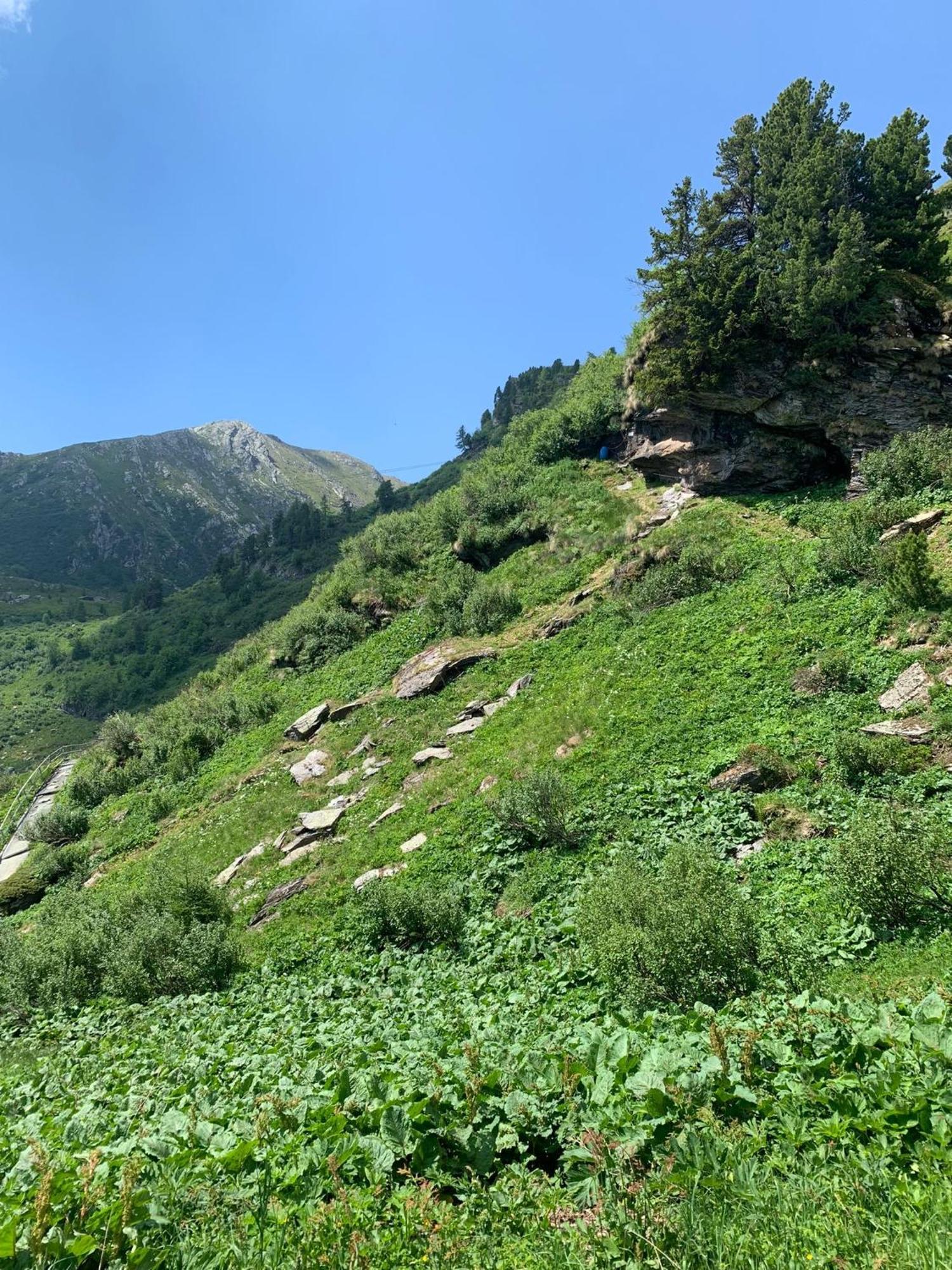 Almhaus Heidi Nockberge Villa Patergassen Dış mekan fotoğraf