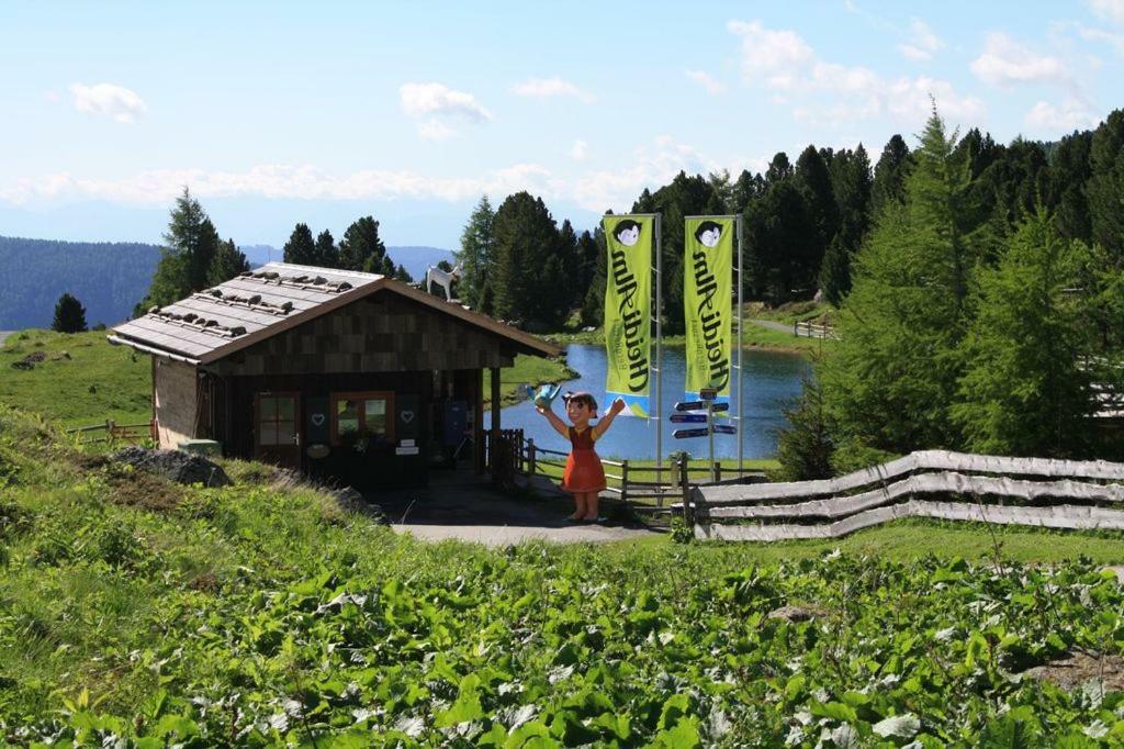 Almhaus Heidi Nockberge Villa Patergassen Dış mekan fotoğraf