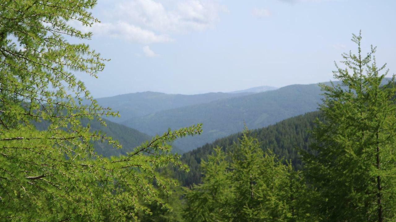 Almhaus Heidi Nockberge Villa Patergassen Dış mekan fotoğraf