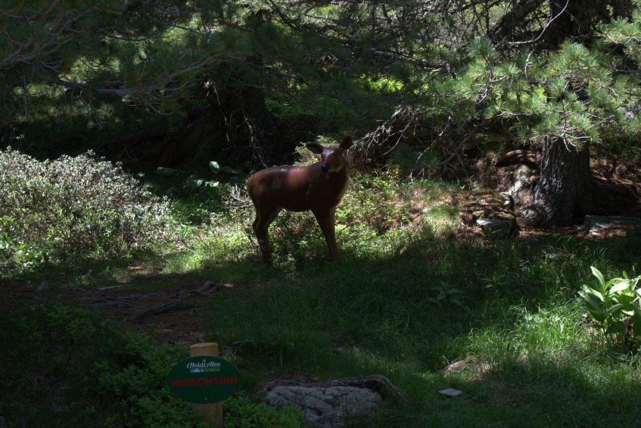 Almhaus Heidi Nockberge Villa Patergassen Dış mekan fotoğraf